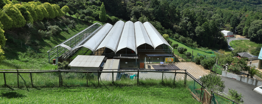 グラン・ドッグランド