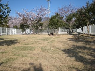 美浜ドッグラン