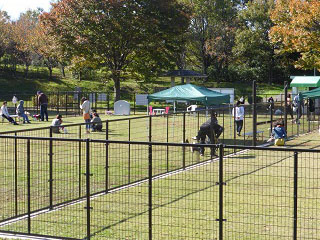木場潟公園ドッグラン（きばがた公園）