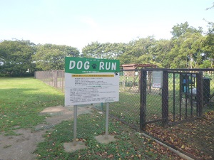 dogrun05