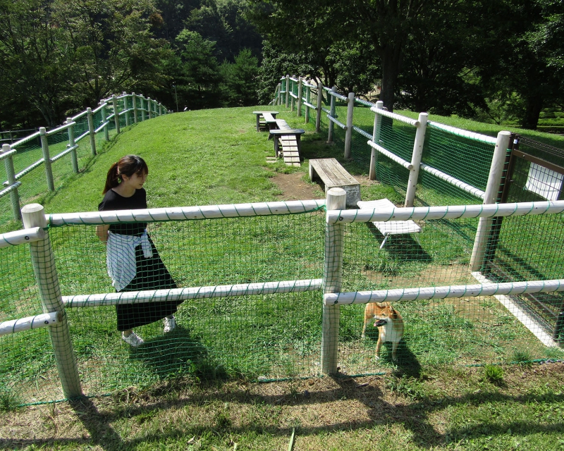 鳥居平(とりいだいら) やまびこ公園