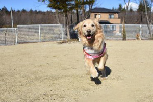 ワン・コレクション