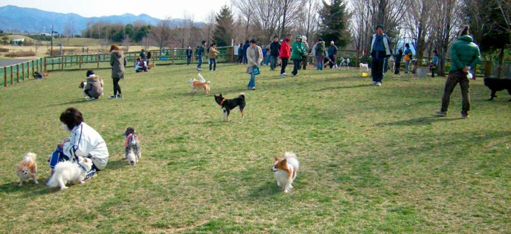 松本平広域公園 信州スカイパーク