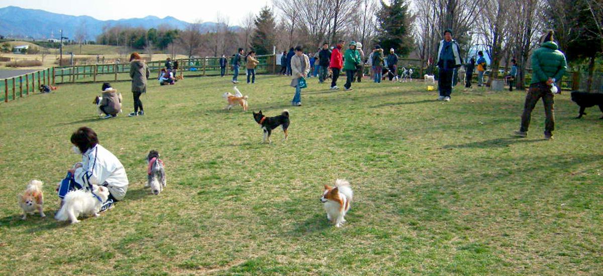 松本平広域公園 信州スカイパーク