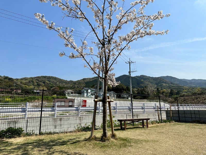 ドッグラン パークサイドフラップ