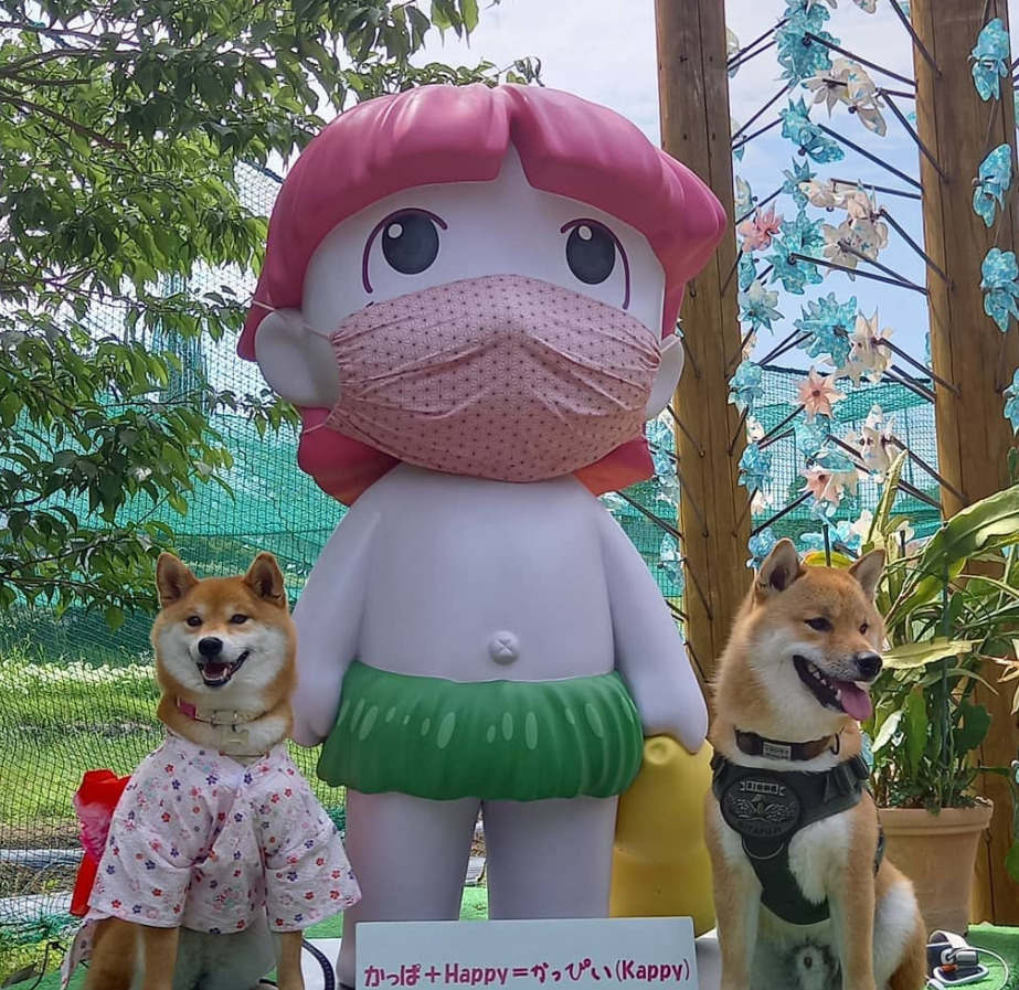 f03c4546939ebc032f6a711a5f4c381f