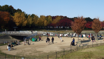 庄内緑地ドッグラン