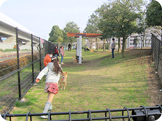 新杉田公園ドッグラン