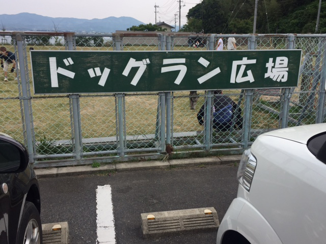 大海崎メモリアルパーク ドッグラン広場