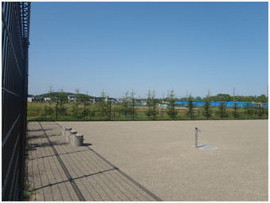 北光町未来の森公園 ドッグラン