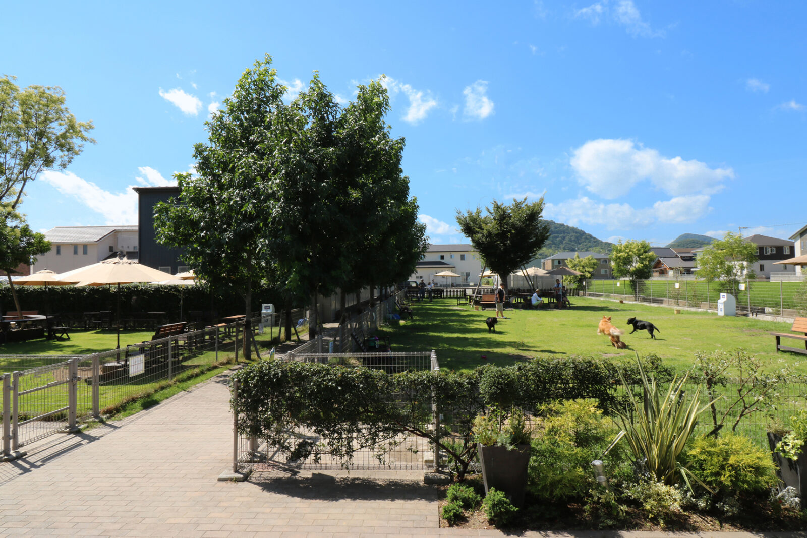 ドッグリゾート One’s club(ワンズクラブ)