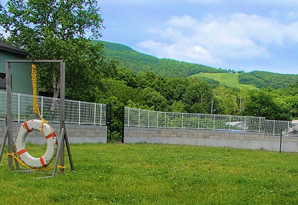 マキドッグスクール