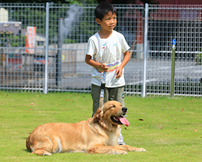 ドッグサロン・コルン