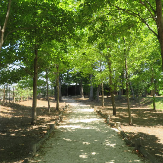 三王山ふれあい公園 ドッグラン