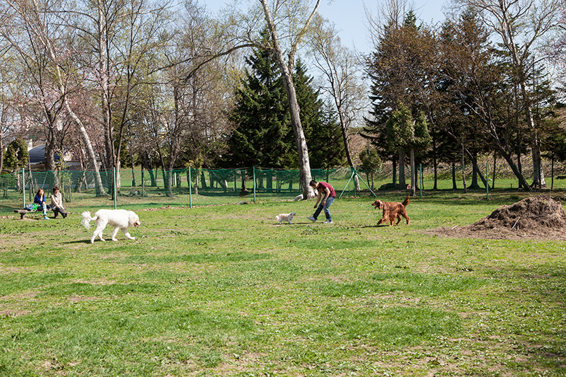 ドッグ・ラン砂川（北光公園）