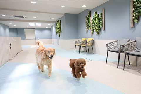 inumo 芝公園 by ヴィラフォンテーヌ