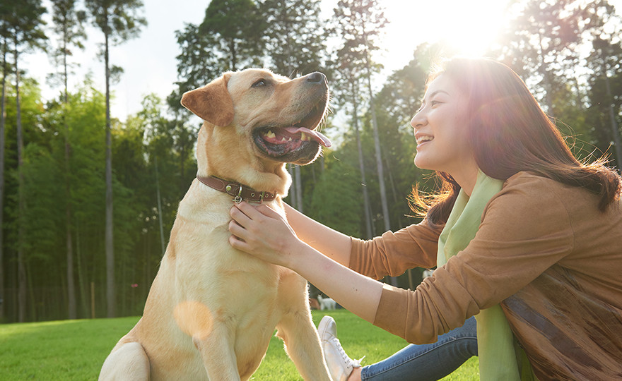 小谷流の里 ドギーズアイランド