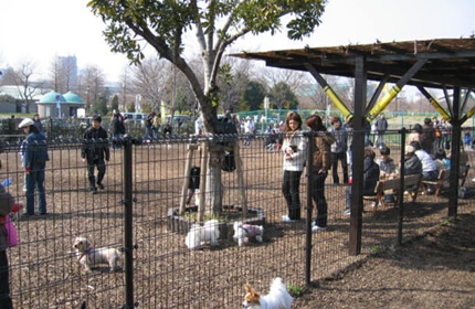 辰巳の森ドッグラン（辰巳の森海浜公園内）