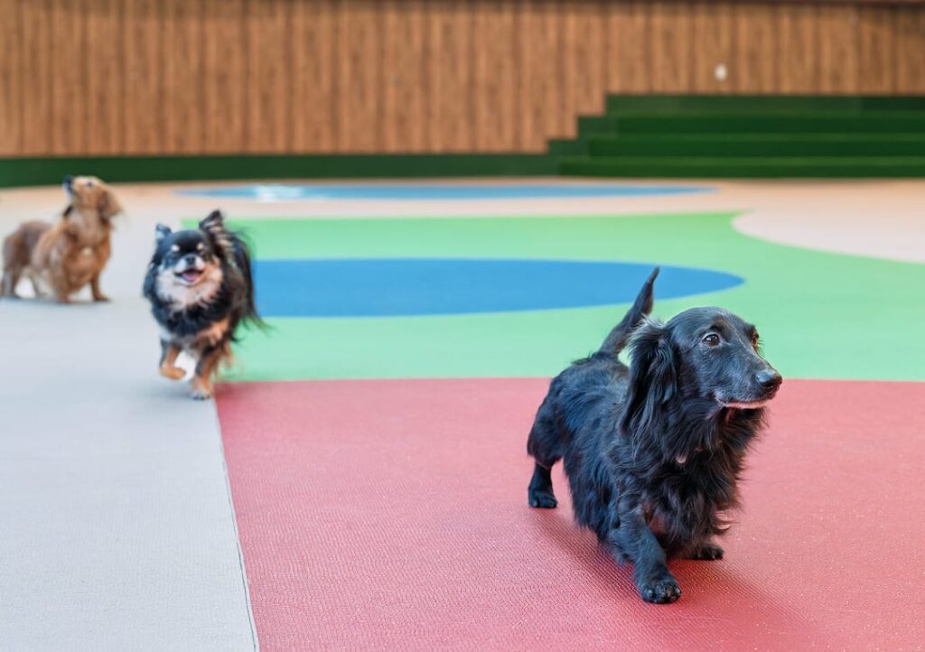 imgi_19_img_idxService-1