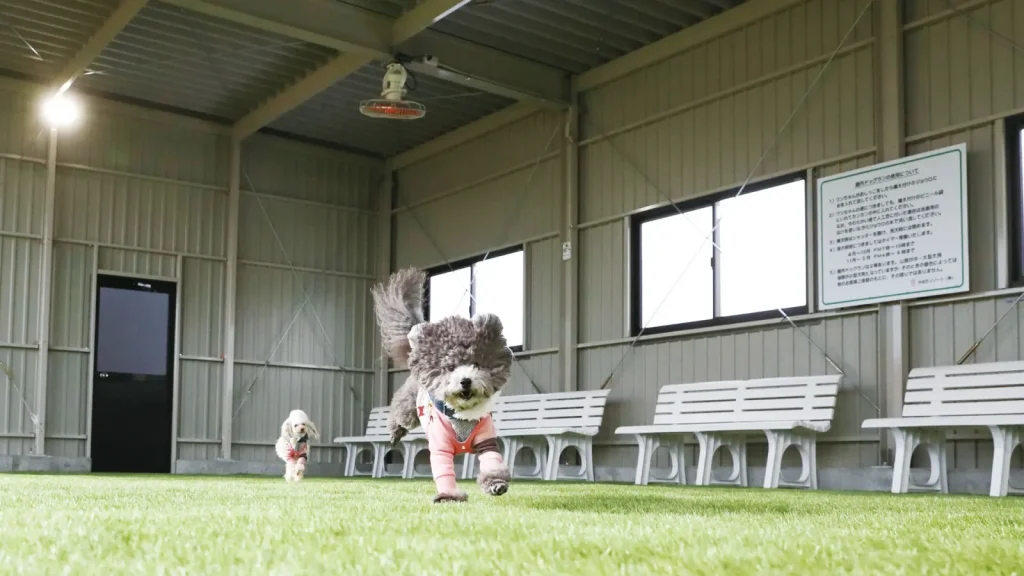 imgi_248_kabata-back_6