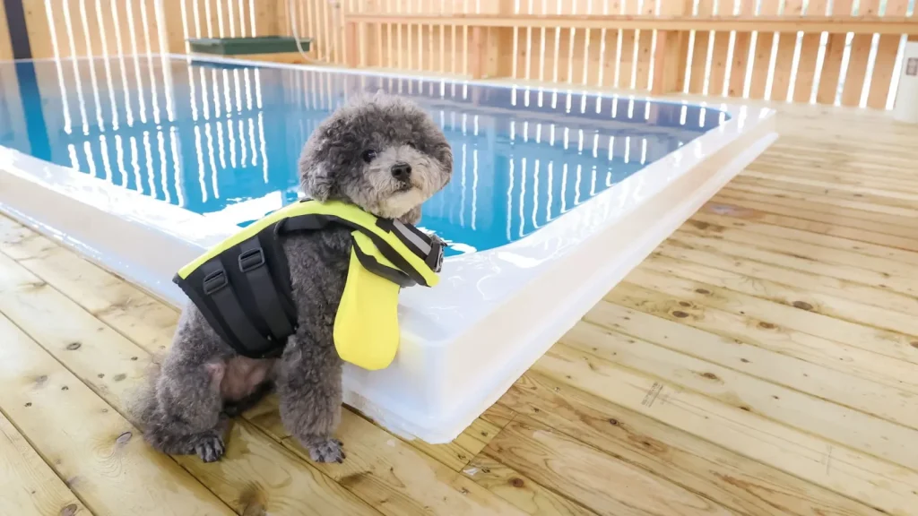 imgi_253_kabata-back_7