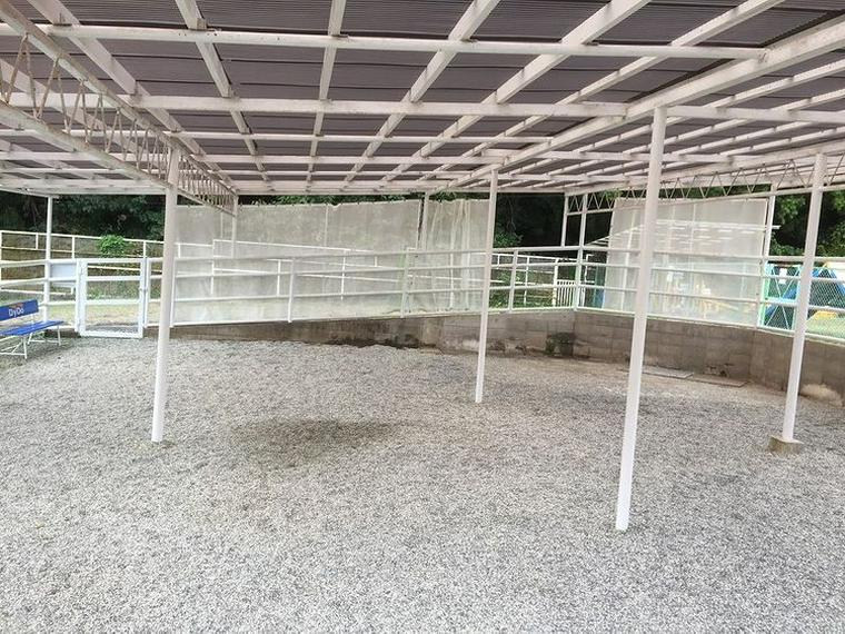 kanagawa_dogrun_yadoriki_1