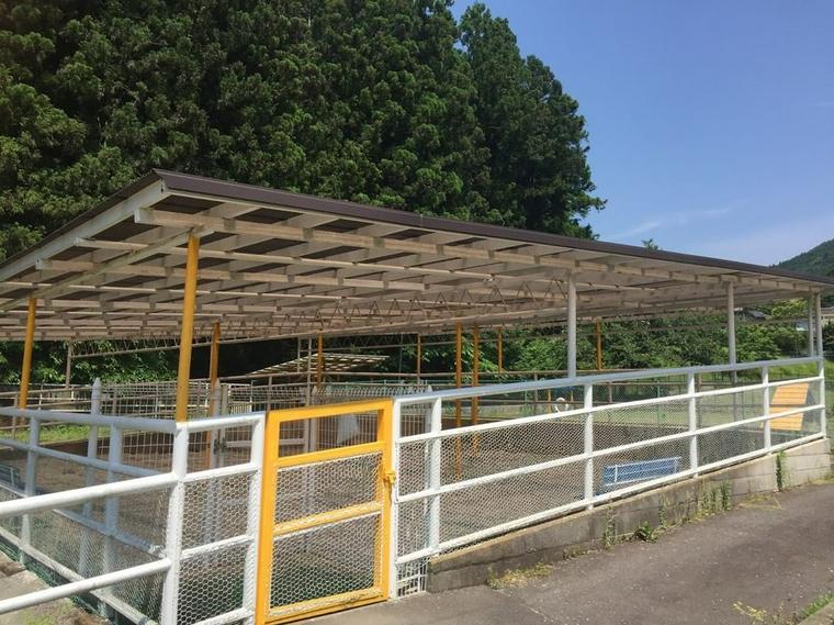 kanagawa_dogrun_yadoriki_3