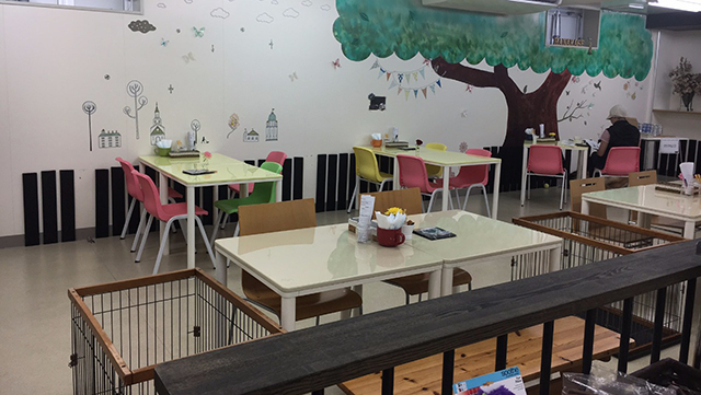 large-bd1cf85d2594d0d45f3ccf924d573ebc