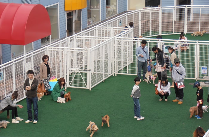 千歳アウトレットモ－ル・レラ ドッグラン