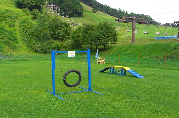 草津温泉スキー場 ドッグラン