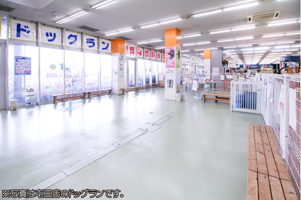 ジョイフルエーケー屯田店 ペットワールド