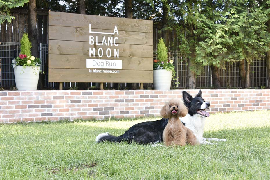 LA BLANC MOON（ラブランムーン）