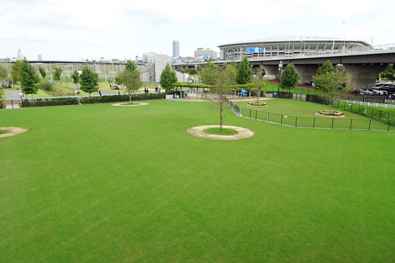 新横浜公園ドッグラン