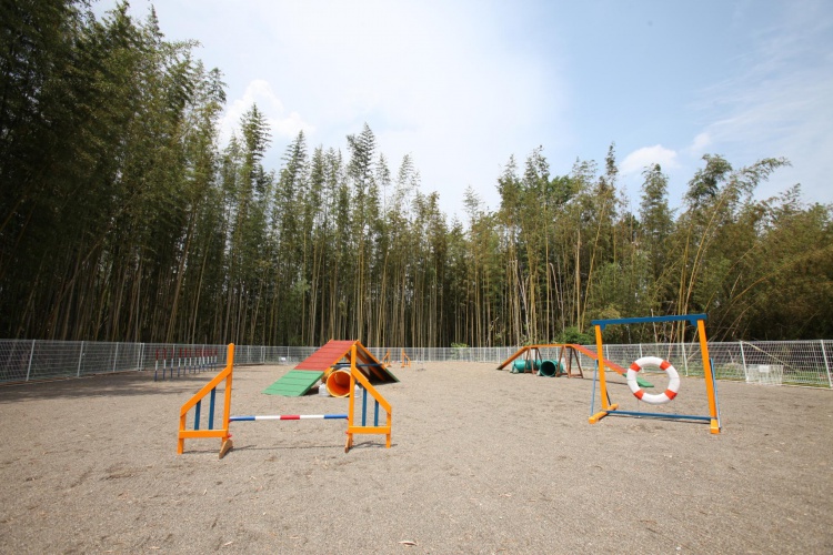 ドッグラン・メーテルハウス