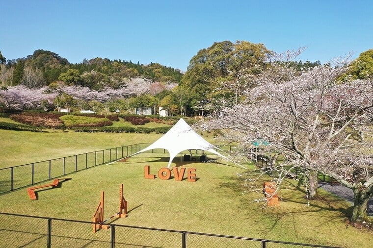 法華嶽公園ドッグラン