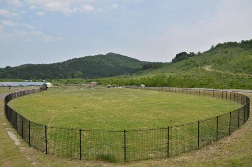 たにはま公園 ドッグラン