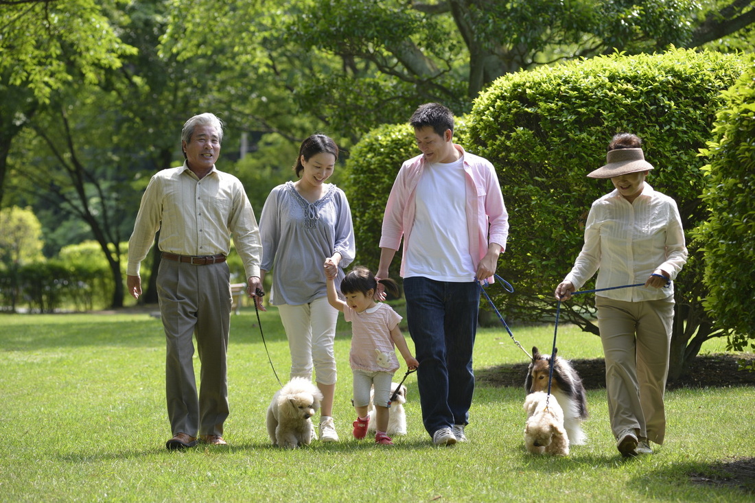 阿蘇カドリー・ドミニオン