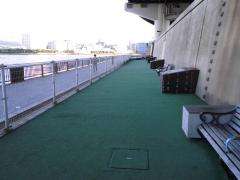 浜町公園わんわん広場