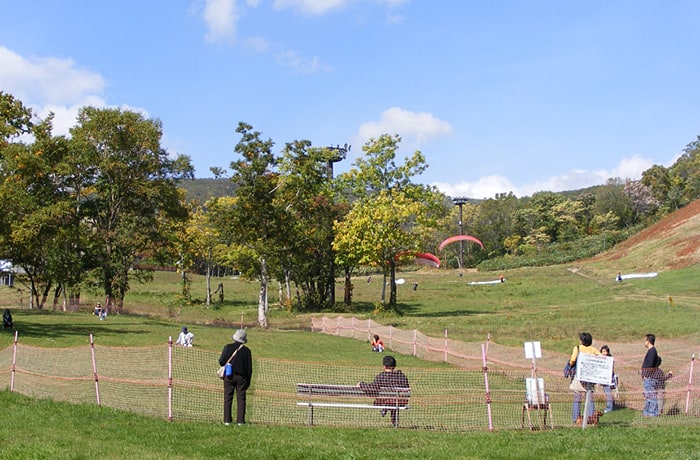 アンヌプリスキー場ドッグラン