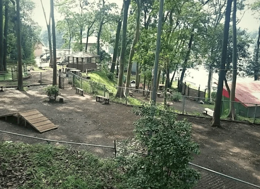 ワン・ＬＯＶＥ