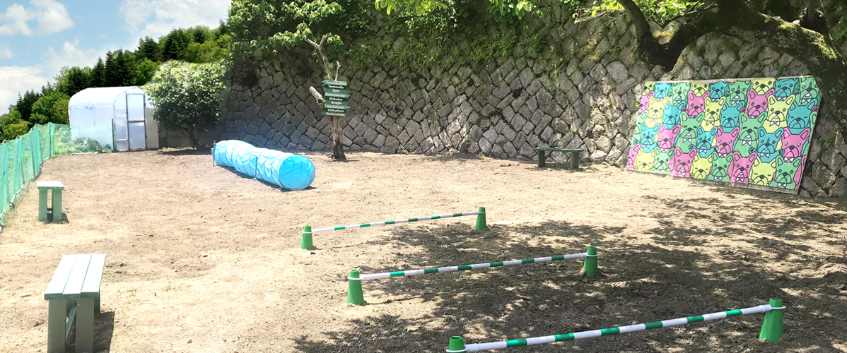 くれワンドッグラン