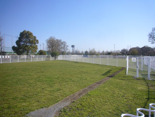 彩湖・道満グリーンパーク ドッグラン