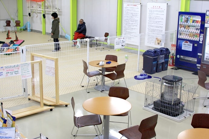 全天候型ドッグラン わんにゃんらんどBuddy