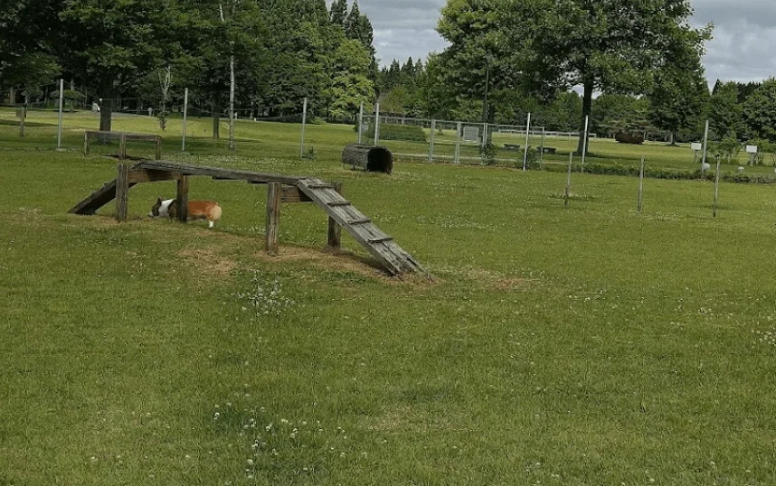 秋田県立 北欧の杜 公園