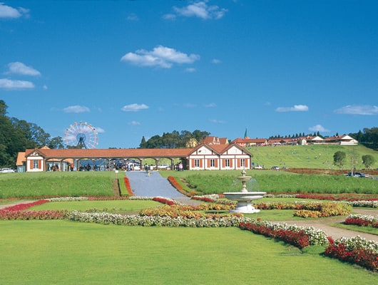 東京ドイツ村 わんちゃんランド ドッグラン