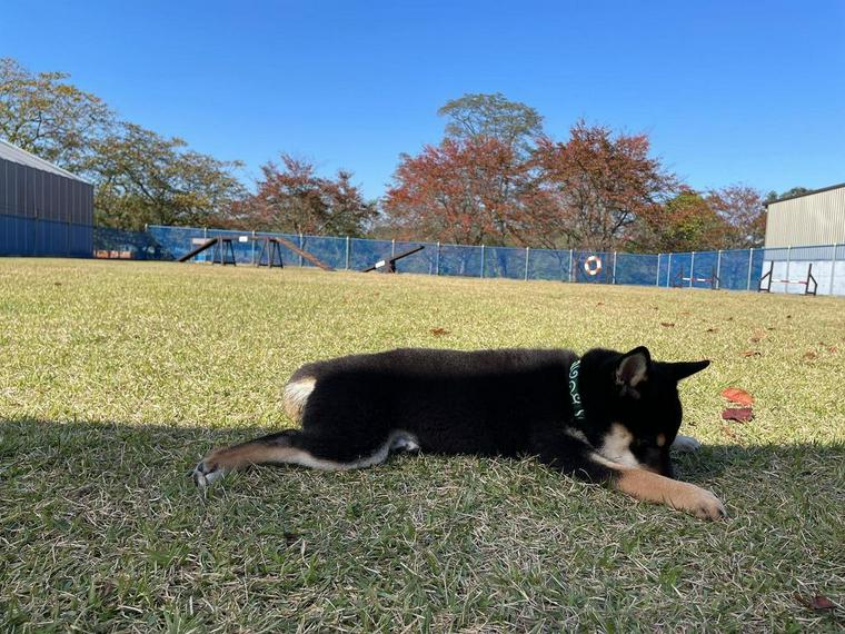 うたたねカフェ さくらの湯