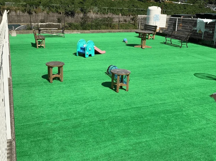 ペットショップ からつケンネル