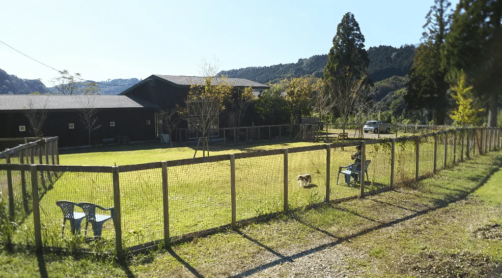 wanvino(ワンヴィーノ)