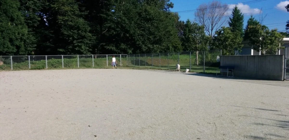 つくばウェルネスパークドッグラン