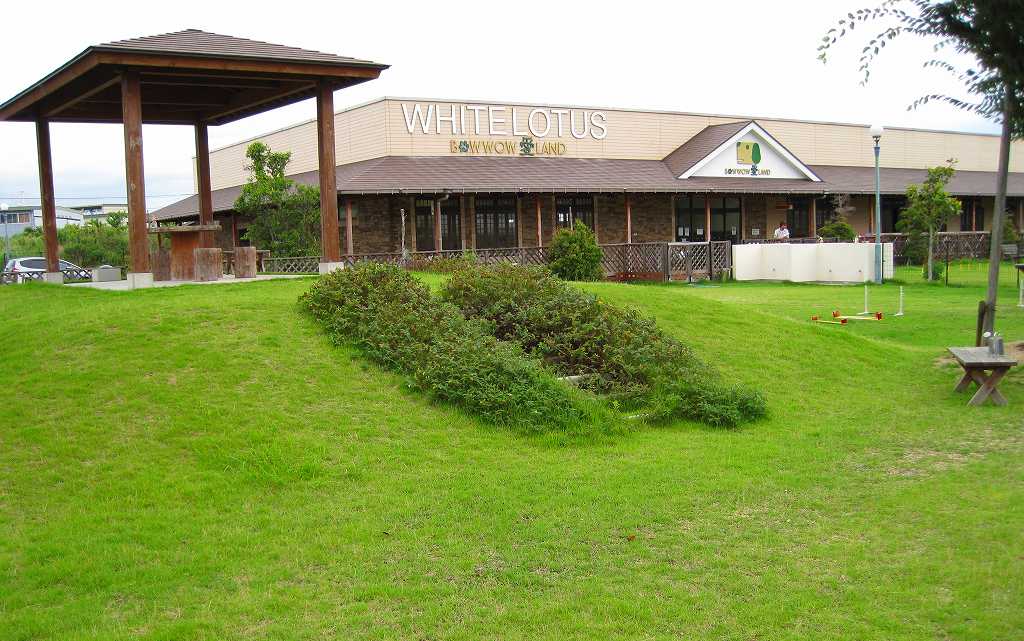 WHITE LOTUS（ホワイトロートス）